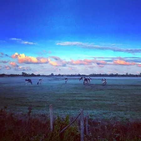 度假居 Maison Calme Pres - 6 Pers - Animaux Admis - Fr-1-540-284 *