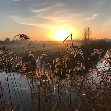 Maison Calme à Notre-dame-de-monts, 400m Plage, Animaux Admis - Fr-1-540-284 Notre-Dame-de-Monts