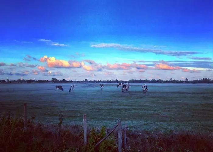Casa vacanze Maison Calme à Notre-dame-de-monts, 400m Plage, Animaux Admis - Fr-1-540-284 *