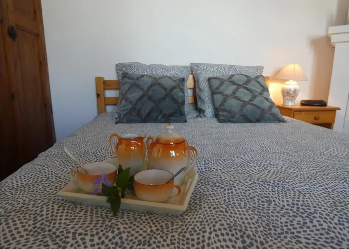 Maison Calme à Notre-dame-de-monts, 400m Plage, Animaux Admis - Fr-1-540-284