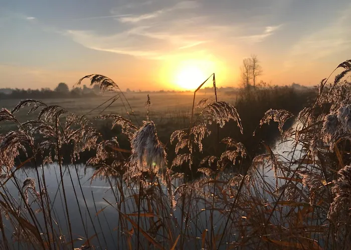 Maison Calme à Notre-dame-de-monts, 400m Plage, Animaux Admis - Fr-1-540-284 Notre-Dame-de-Monts
